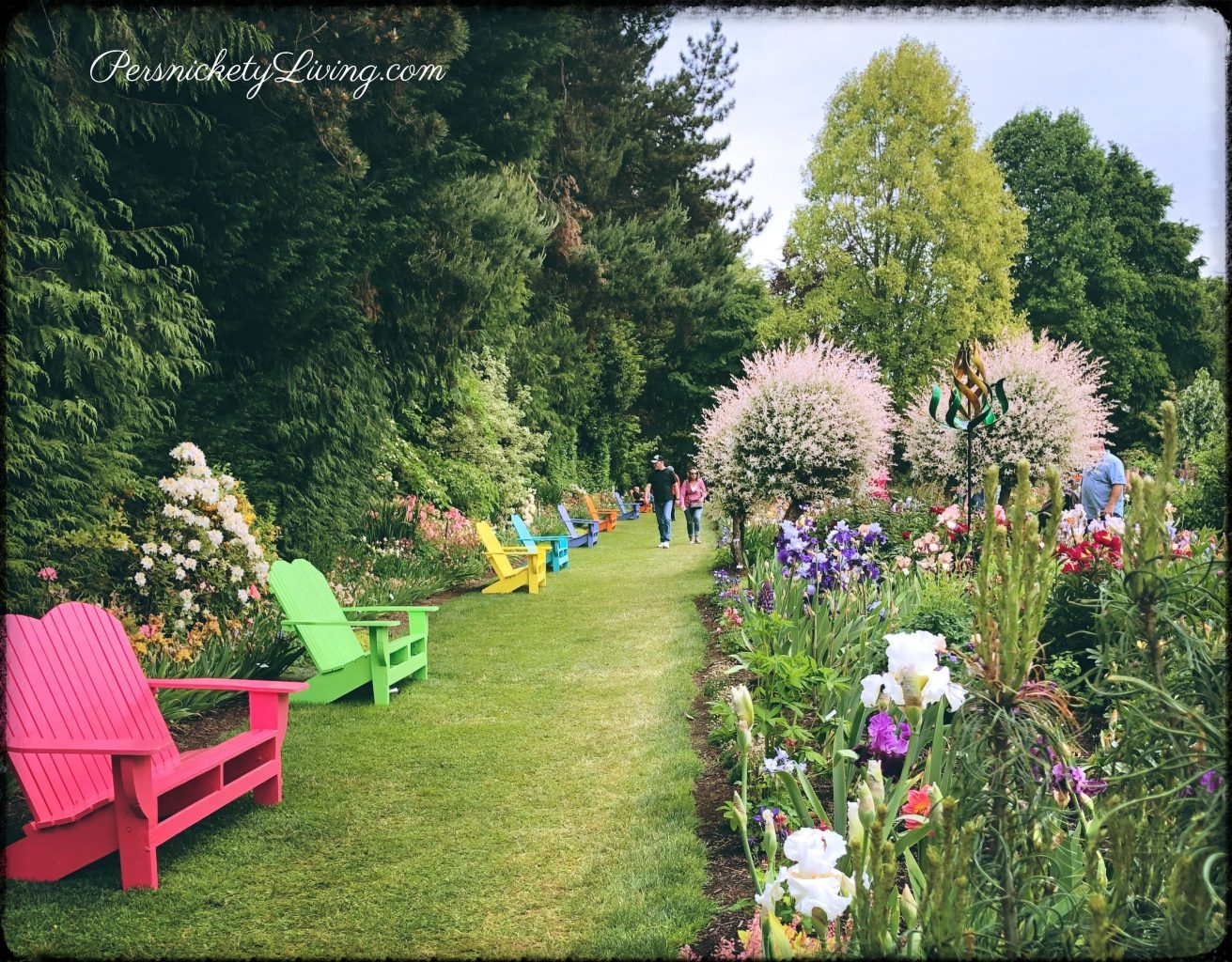 Benches Blooms