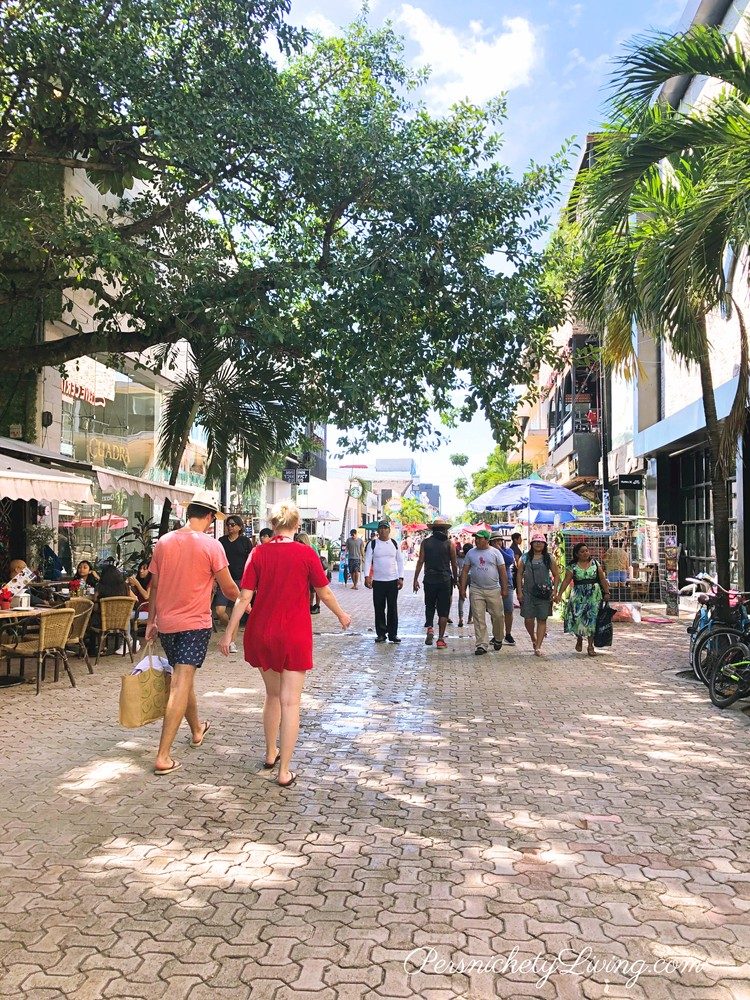 Calle-Quinta-Avenida-Playa-del-Carmen-Mexico