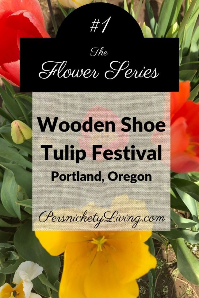 Flower Series #1: Wooden Shoe Tulip Festival Portland Oregon