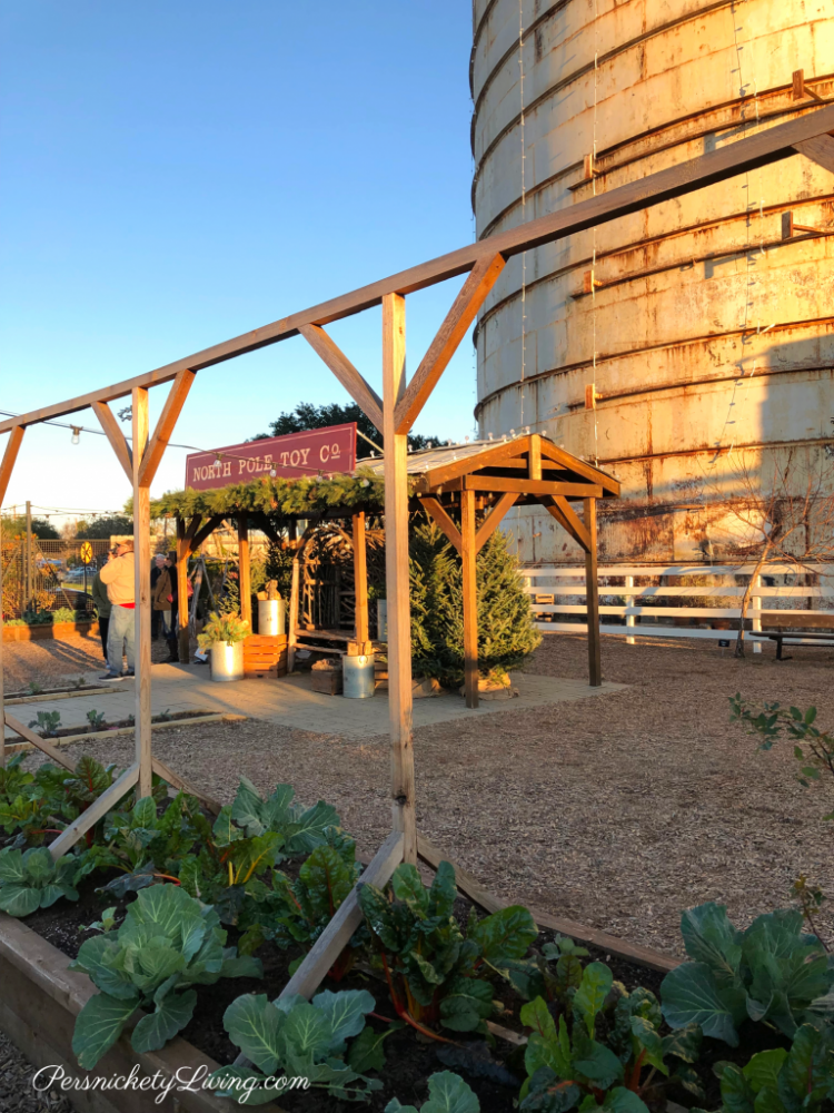 Winter Garden at Magnolia Market