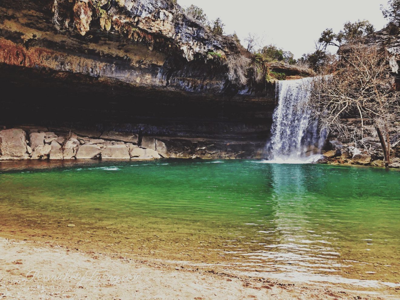 Hamilton Swimming Hole The swimming hole, green water and waterfall
