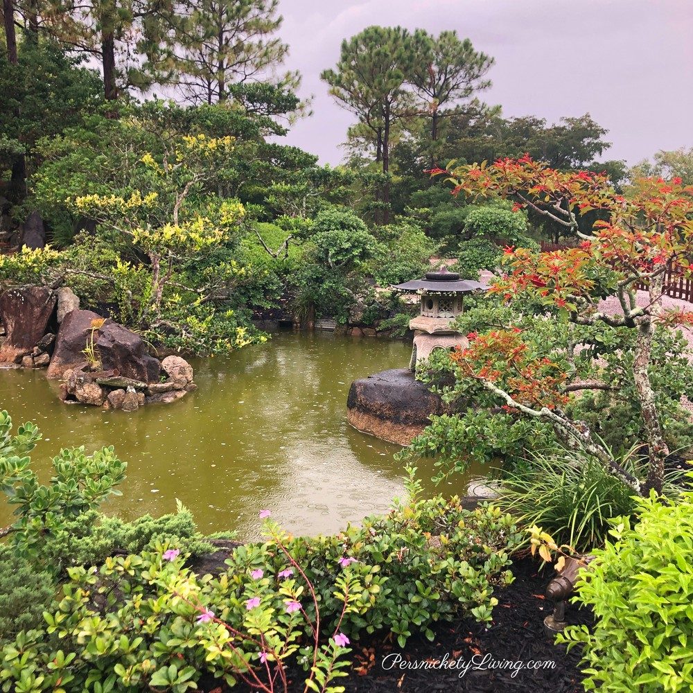 Japanese garden_irfan