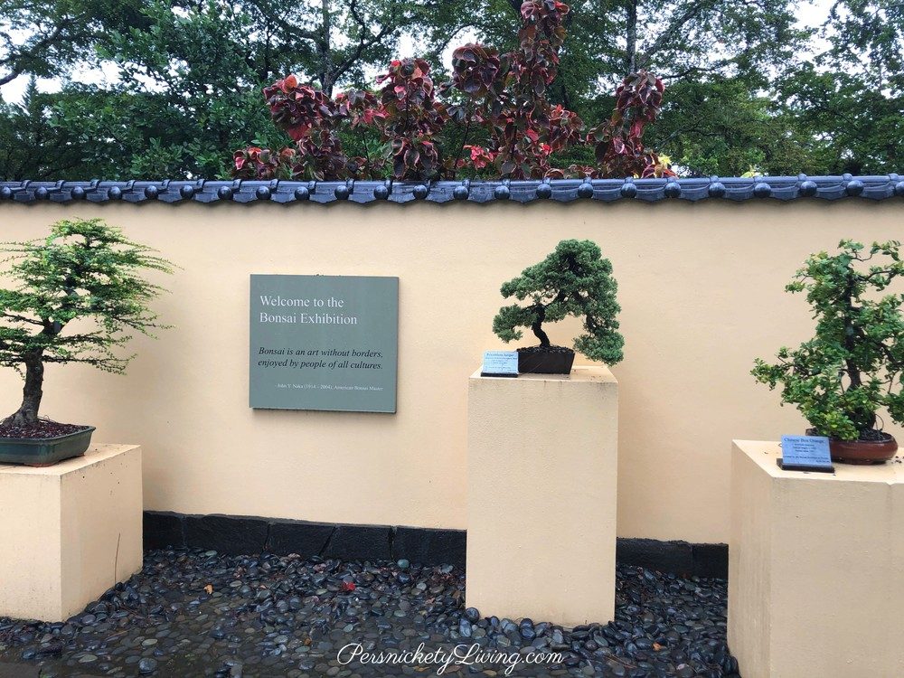 Morikami Bonsai Collection