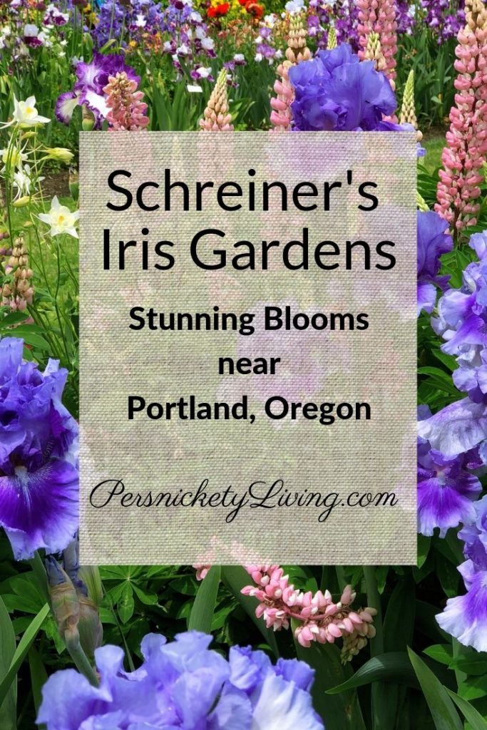 Schreiners Iris Gardens Pin