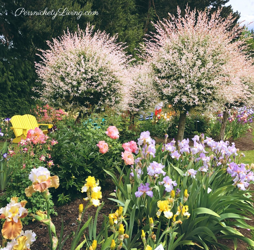 Pretty Pom Pom Trees