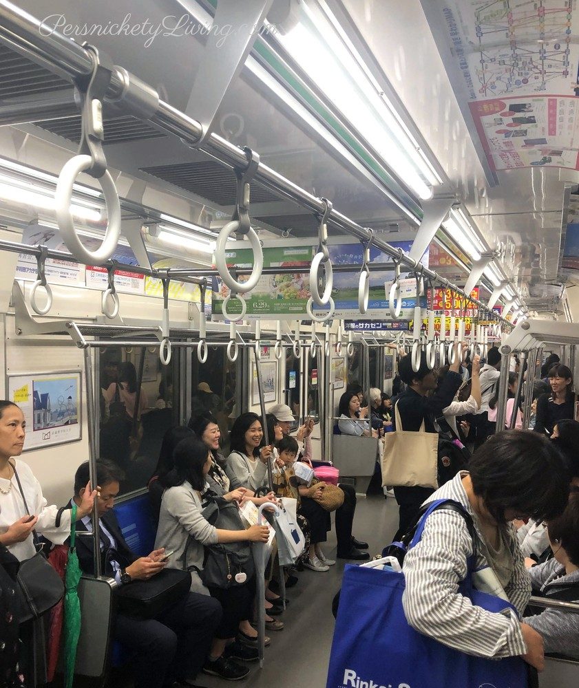 People in train Tokyo-Yokohama