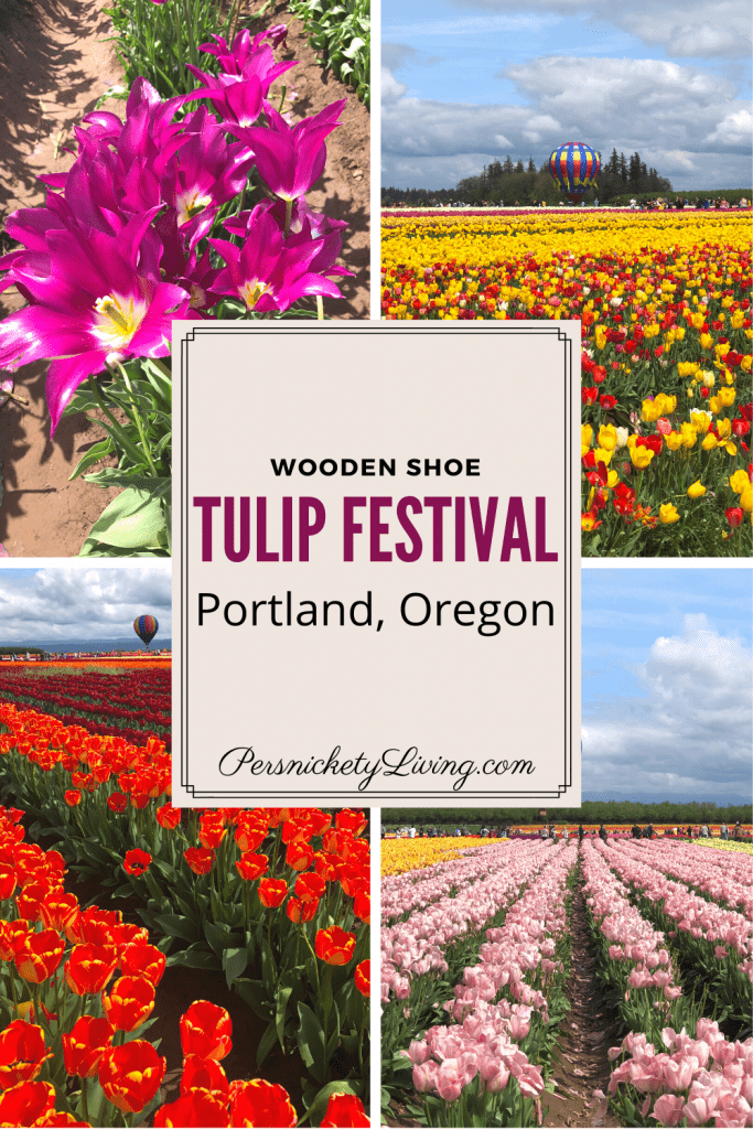 Pinterest pin for Tulip Festival in Portland Oregon