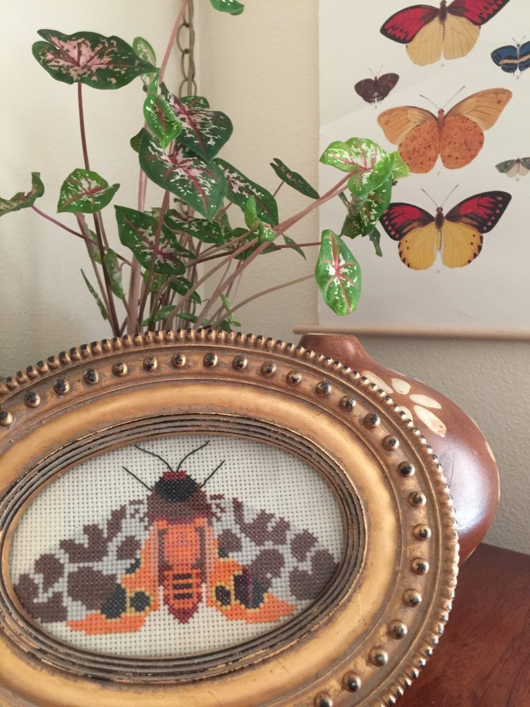 On Display cross stitch project framed moth