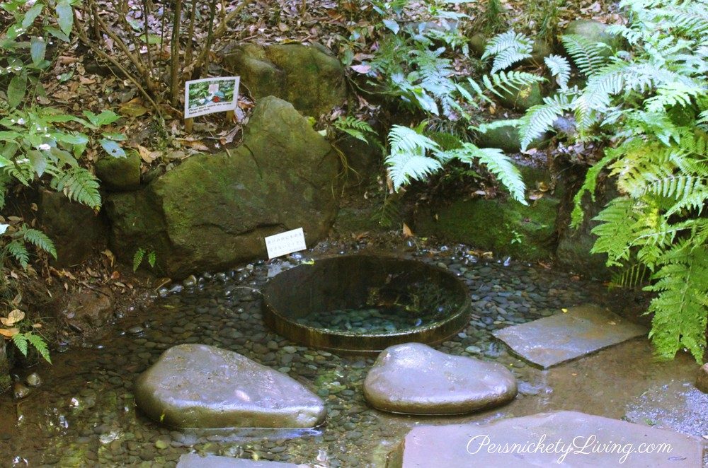 Kiyomasa's Well Meiji Jingu Garden Tokyo